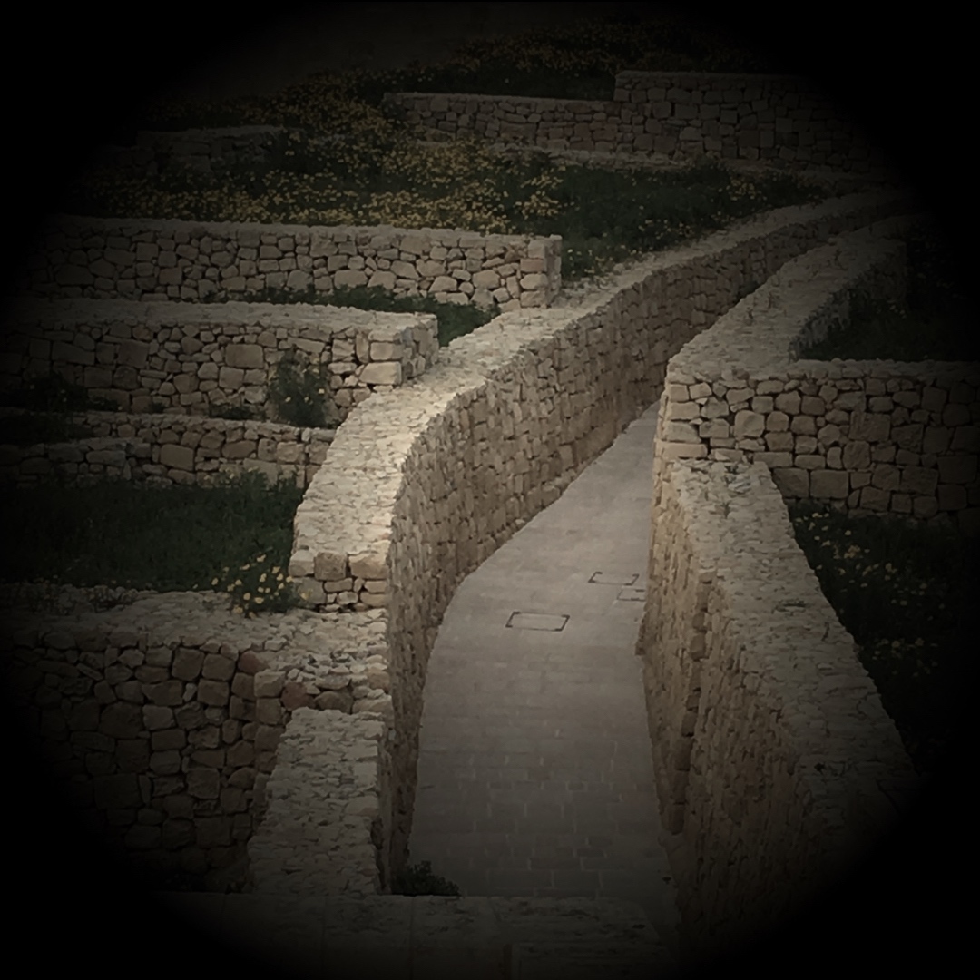 imagenes blog 2.010